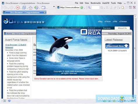 Orca download windows 10